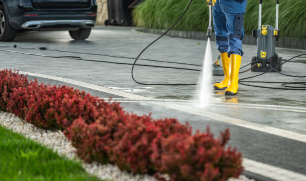 Best Roof Washing  in Fillmore, CA